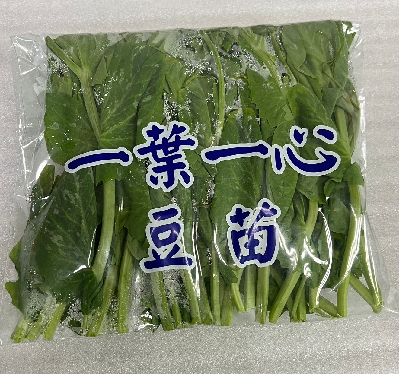 菜霸子嚴選大豆苗 150g (±10%)廠商直送